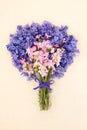 Bluebell Red Campion and Nemesia Flower Posy Royalty Free Stock Photo