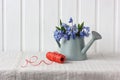 Bluebell in a tin watering can on the table Royalty Free Stock Photo