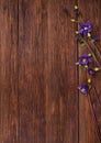 Bluebells flowers on wooden table. Top view, copy space. Royalty Free Stock Photo