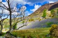 Bluebells in Rannerdale in the English Lake District Royalty Free Stock Photo
