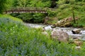 Bluebells at Watersmeet near Lynmouth Devon Royalty Free Stock Photo