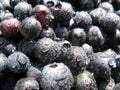 Blueberrie with droplets of water