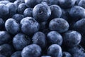 Blueberries