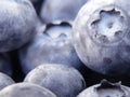 Blueberries