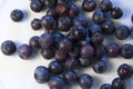 Blueberries 2