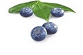 Blueberries Royalty Free Stock Photo