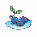 Blueberries