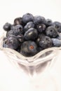 Blueberries Royalty Free Stock Photo