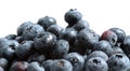 Blueberries Royalty Free Stock Photo