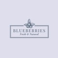 Blueberries Abstract Vector Sign, Symbol or Logo Template. Berries with Leafs Sillhouette Sketch with Elegant Retro