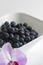 Blueberries anyone? Royalty Free Stock Photo