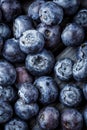 Blueberries background