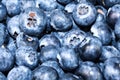 Blueberries background for kitchen design