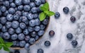 Blueberries on a background Royalty Free Stock Photo