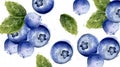 Blueberries background Vector watercolor. Summer delicious fruits cards