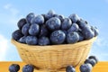 Blueberries in bamboo basket closeup on sky background Royalty Free Stock Photo