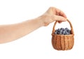 blueberries basket in hand Royalty Free Stock Photo