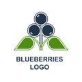 Blueberries Or Bilberries Logo