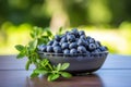 Blueberries in a black bowl. Biologically active supplement - pills for healthy eyes on green luscious background Royalty Free Stock Photo