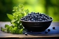 Blueberries in a black bowl. Biologically active supplement - pills for healthy eyes on green luscious background Royalty Free Stock Photo