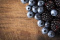 Blueberries and blackberries Royalty Free Stock Photo