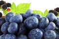 Blueberries with blackberry closeup on white background Royalty Free Stock Photo