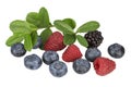 Blueberries, blackberry and raspberry with a sprigs with leaves on white background Royalty Free Stock Photo