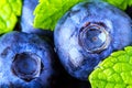 Blueberries Royalty Free Stock Photo