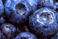 Blueberries Royalty Free Stock Photo