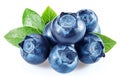 Blueberries with blueberry leaves isolated on a white background Royalty Free Stock Photo