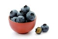 Blueberries in a clay bowl isolated