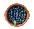 Blueberries in a clay plate isolated on a white background. Fresh bilberry. Flatlay closeup. Royalty Free Stock Photo