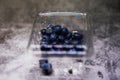 Blueberries in a clear container Royalty Free Stock Photo
