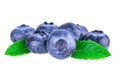 Blueberries in closeup. Fresh blueberries with mint leaves isolated on white background Royalty Free Stock Photo