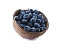 Blueberries in coconut shell isolated on white background. Blueberries  in bowl isolate. Background berries. Various summer berrie Royalty Free Stock Photo