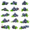 Blueberries Collection. Fresh blueberry with leaf isolated on white Royalty Free Stock Photo