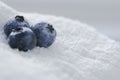blueberries compose on white towels background