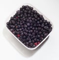 Blueberries in the container Royalty Free Stock Photo