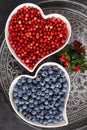 Blueberries and cowberries Royalty Free Stock Photo