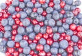 Blueberries and cowberries cranberry Royalty Free Stock Photo