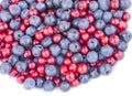 Blueberries and cowberries cranberry Royalty Free Stock Photo