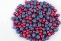 Blueberries and cowberries cranberry Royalty Free Stock Photo