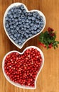 Blueberries and cowberries Royalty Free Stock Photo