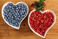 Blueberries and cowberries Royalty Free Stock Photo