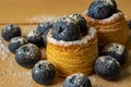 Blueberries with dough baskets