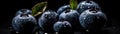 Blueberries With Droplets On Black Background Wde Panoramic. Generative AI Royalty Free Stock Photo