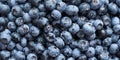 Blueberries floating. Fresh blueberries background with copy space for your text. Vegan and vegetarian concept.Texture