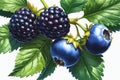 blueberries floating isolated on transparent background Generative Ai