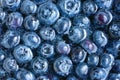 Blueberries floating in water with bubbles