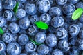 Blueberries floating in water with bubbles. Fresh blueberries background with copy space for your text. Vegan and vegetarian